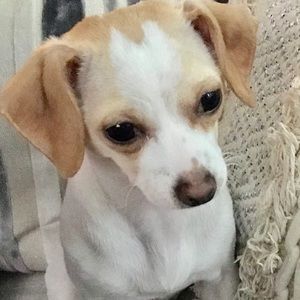 Meet your Posher, Kara